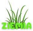 Półkolonie letnie w Jungle Academy Półkolonie letnie w Jungle Academy