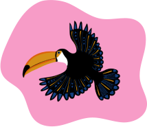 Zimowisko w Jungle Academy