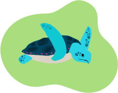 Zimowisko w Jungle Academy